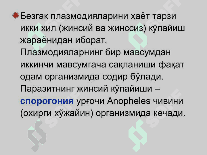 БЕЗГАК (МАЛЯРИЯ, MALARIA) 5