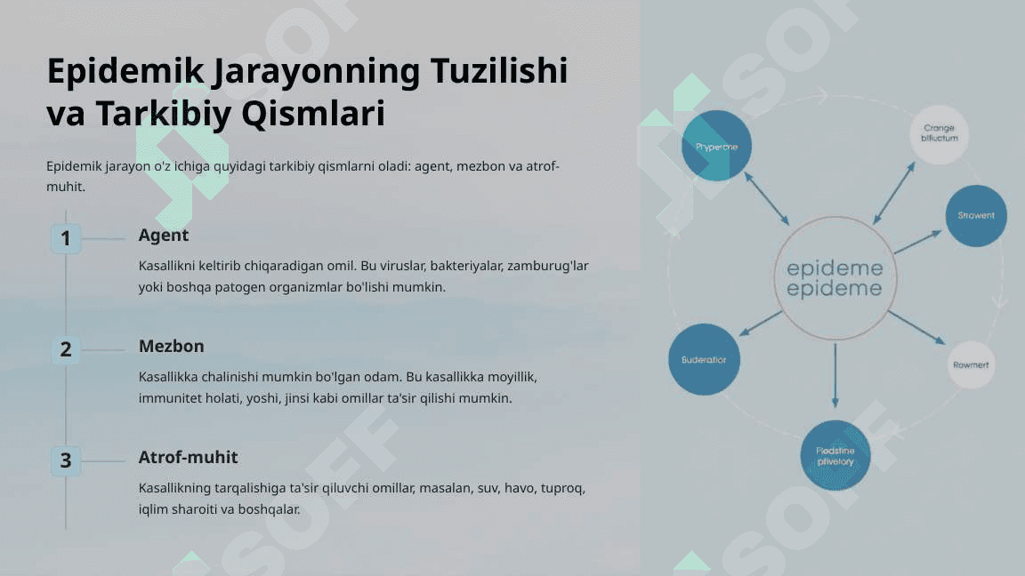 Epidemik Jarayon haqidagi Ta'limot 3