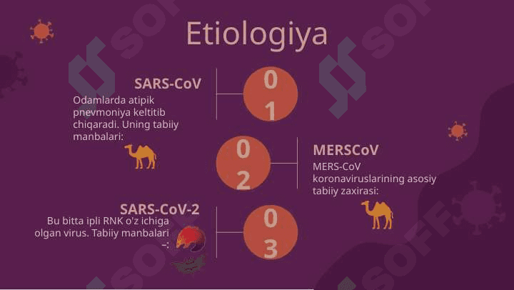 Koronavirus Covid-19 4