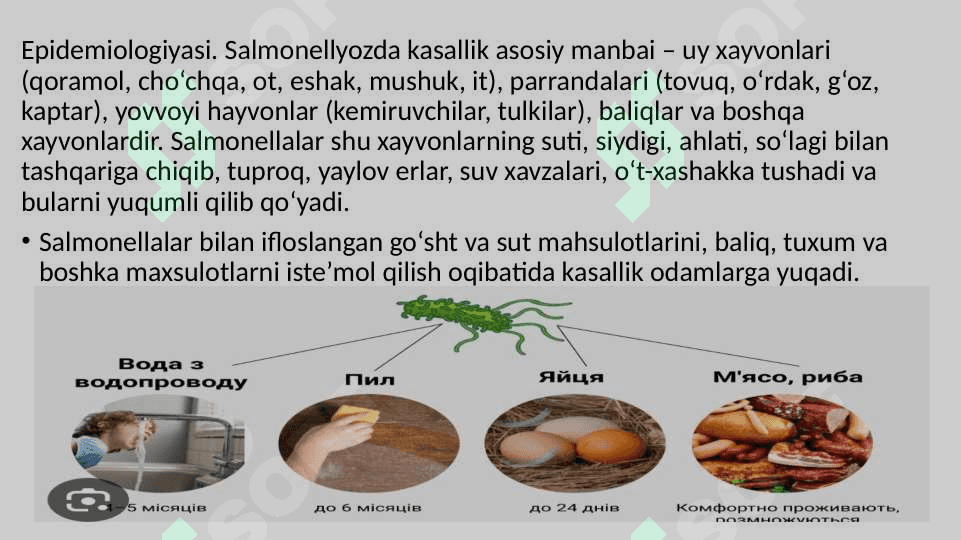 Salmonellyoz – zooantroponoz, ya’ni xam xayvonlarda, xam odamlardan yuqadigan va ko‘pincha gastroenterit simptomlari bilan, ba’zi xollarda esa tarqoq infeksiya belgilari bilan ta’riflanadigan o‘tkir yuqumli ichak kasalligidir 4