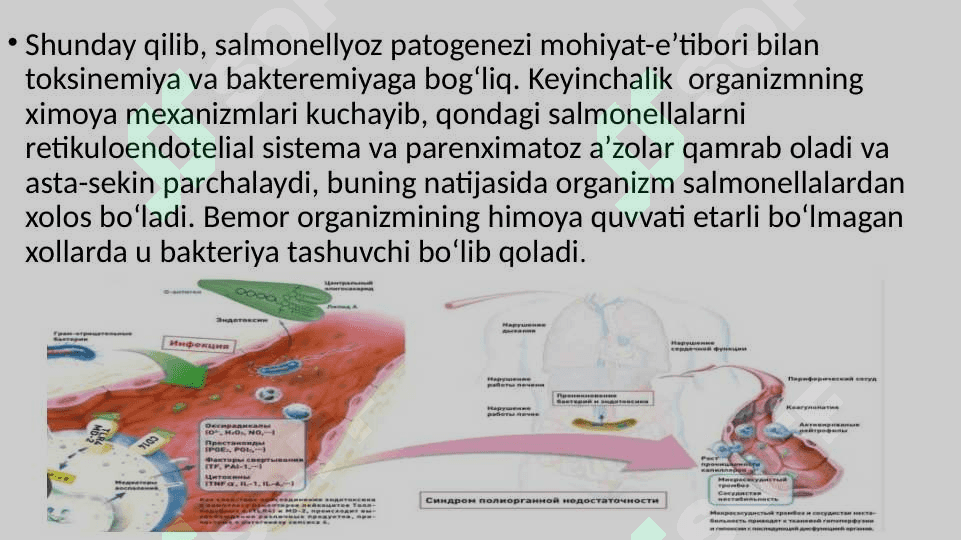 Salmonellyoz – zooantroponoz, ya’ni xam xayvonlarda, xam odamlardan yuqadigan va ko‘pincha gastroenterit simptomlari bilan, ba’zi xollarda esa tarqoq infeksiya belgilari bilan ta’riflanadigan o‘tkir yuqumli ichak kasalligidir 8