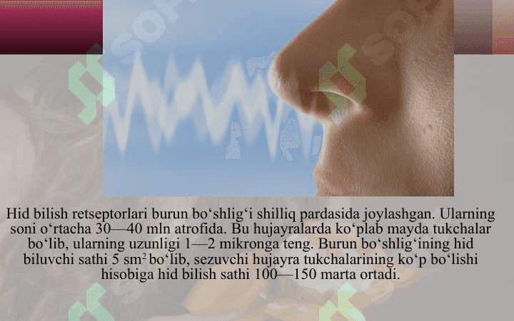 Hid bilish va og’riq idroki 2