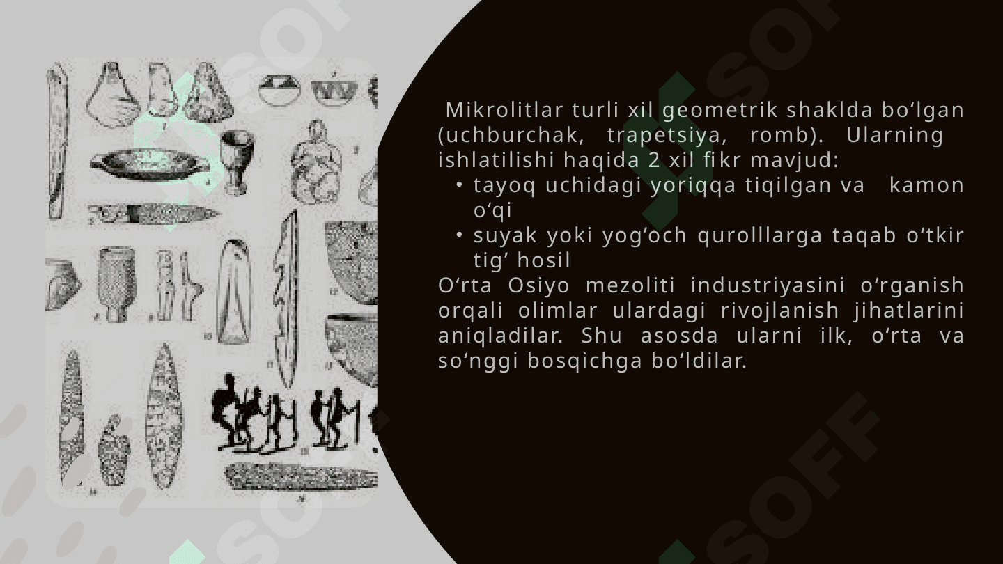 O’rta Osiyodagi mezolit davri 7