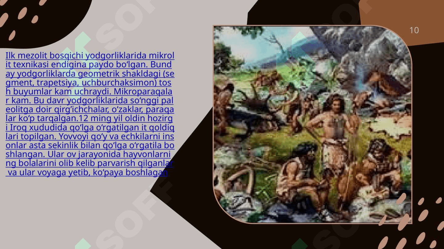 O’rta Osiyodagi mezolit davri 8