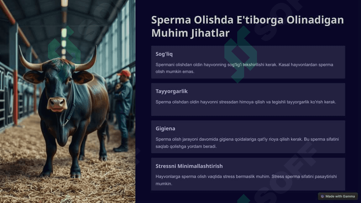 Hayvonlardan sperma olish usullari 4