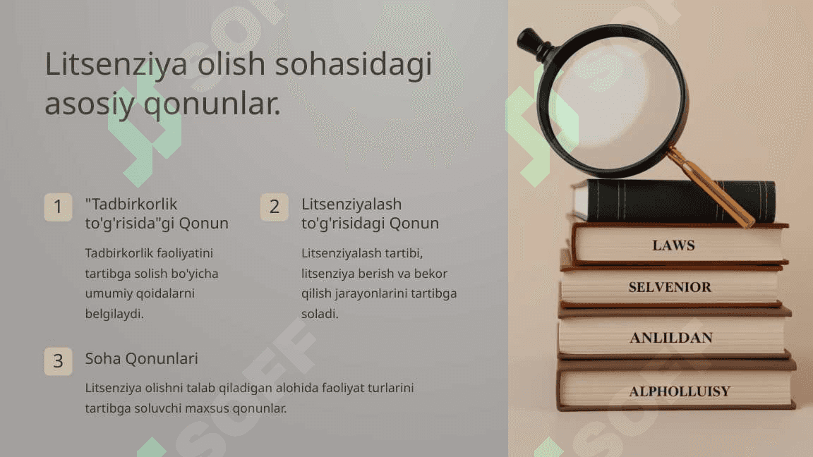 Tadbirkorlik subyektlarining litsenziya olish tartibi. 4