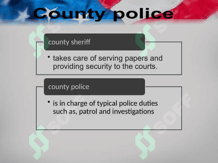 POLICE UNITED STATES 7
