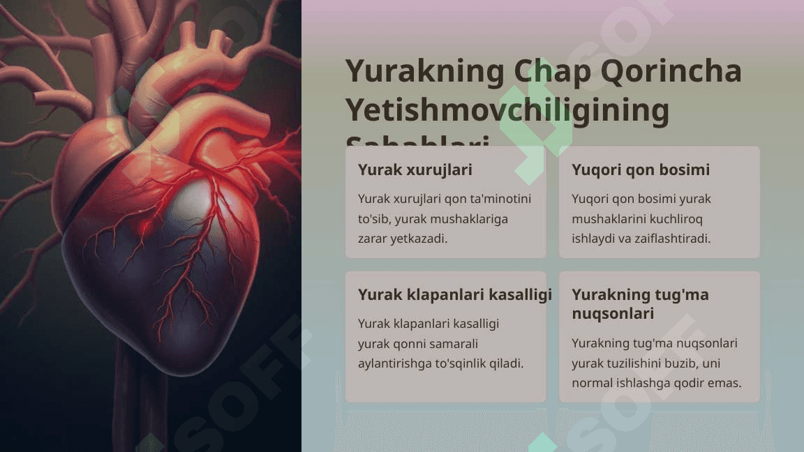 Yurakning chap qorincha yetishmovchiligining gemodinamikasi. 5