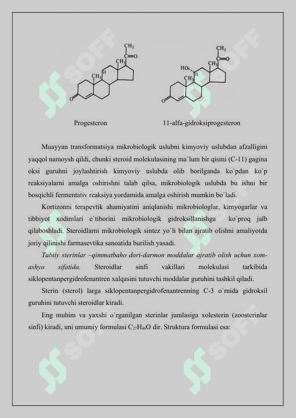 Organik moddalarni mikrobiologik transformatsiyalash va ularni qaytarilishini biotexnologik uslublari 4