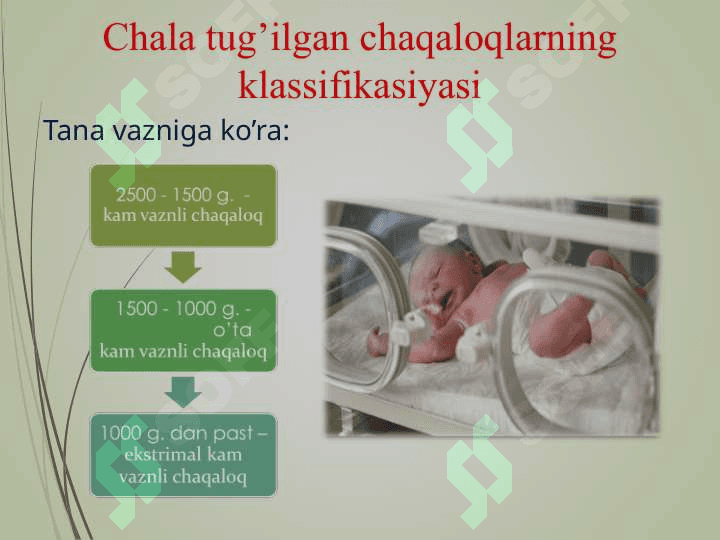 Chala tuğilgan chaqaloqlar 3