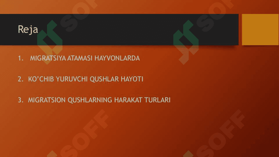 Ko‘chib yuruvchi qushlarning asosiy turlari 2