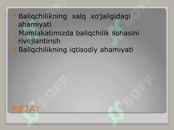 Baliqchilik,  uning iqtisodiy  ahamiyati 3