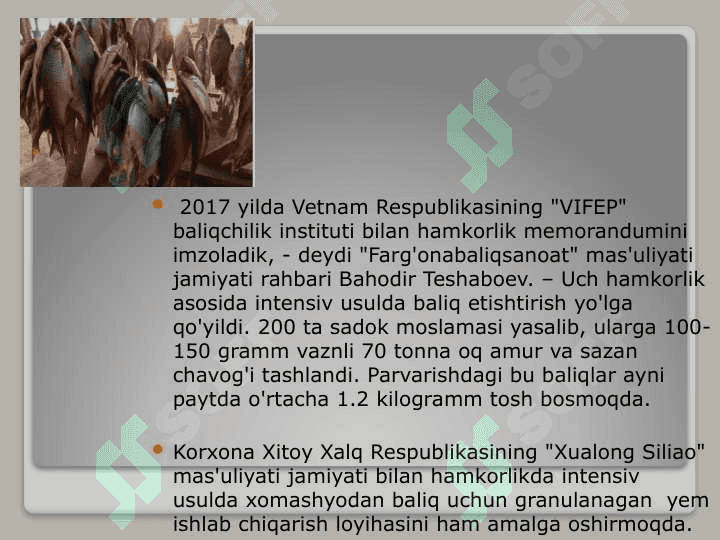 Baliqchilik,  uning iqtisodiy  ahamiyati 5