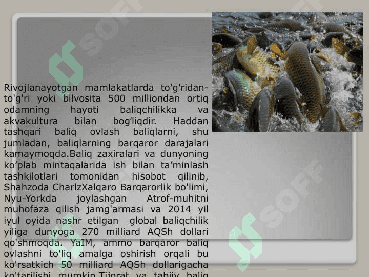 Baliqchilik,  uning iqtisodiy  ahamiyati 7