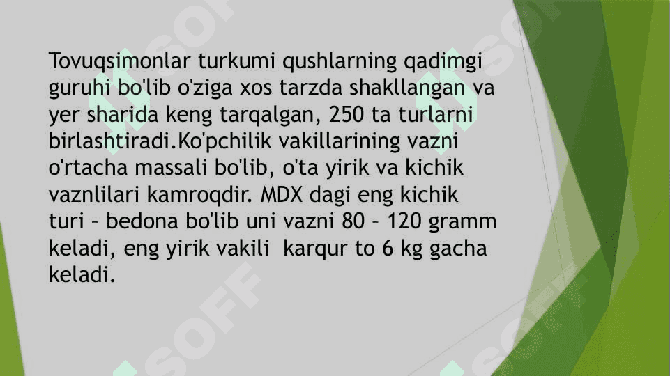 Tovuqsimonlar,asosiy turlarining hayoti. 2