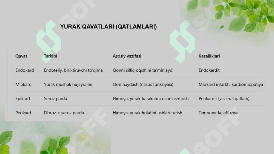 PERIKARD PATOLOGIYASIDA YURAK FUNKSIYASINING BUZILISHLARI 3