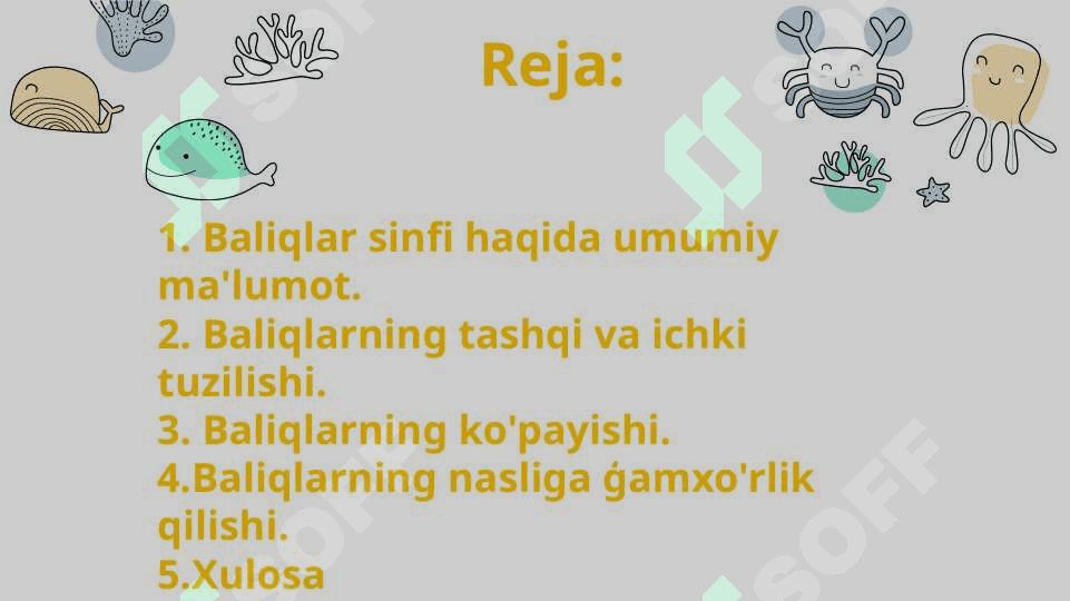 Baliqlarning ko'payishi va nasl to'g'risida g'amxo'rlik qilishi. 2