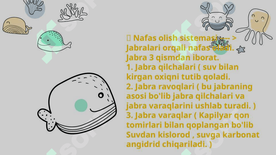 Baliqlarning ko'payishi va nasl to'g'risida g'amxo'rlik qilishi. 8