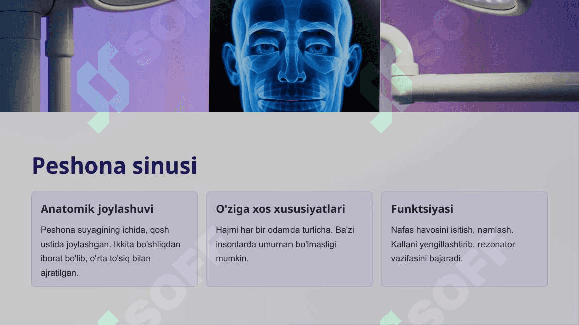 Burun yon bo'shliqlarining tuzilishi, funktsiyasi va kasalliklari 4