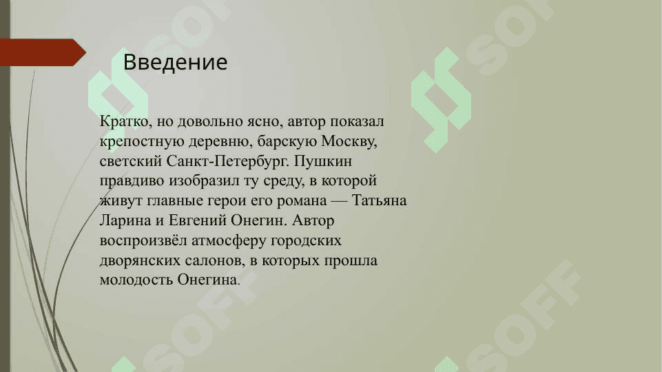 А. С. Пушкин. Роман Евгений Онегин. Реалистические  поэмы А. С. Пушкина 3