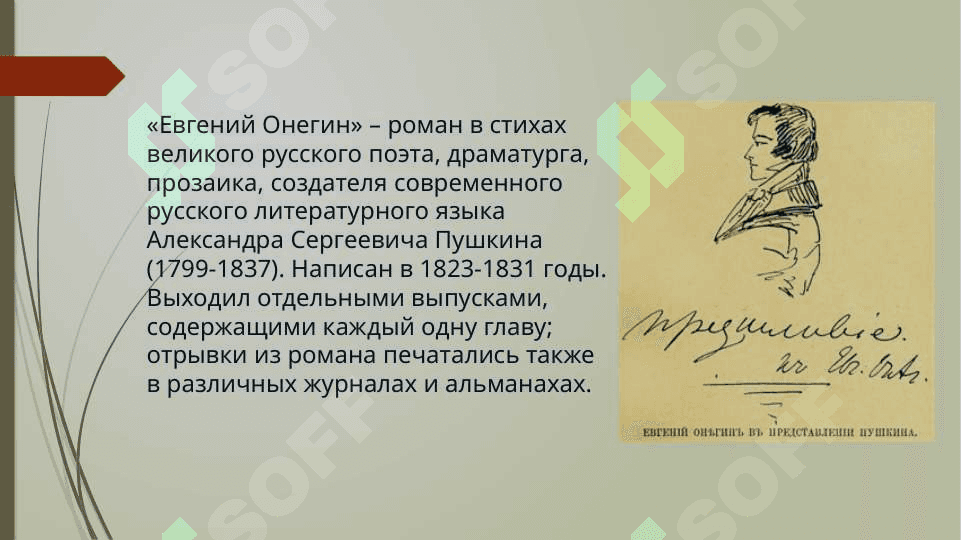 А. С. Пушкин. Роман Евгений Онегин. Реалистические  поэмы А. С. Пушкина 7