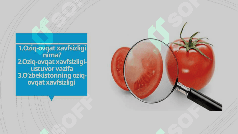 Oziq ovqat xavfsizligini ta’minlash zaruriyati 2