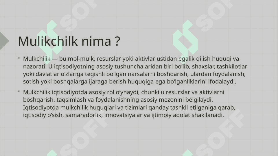 Mulkchilik turlari 3