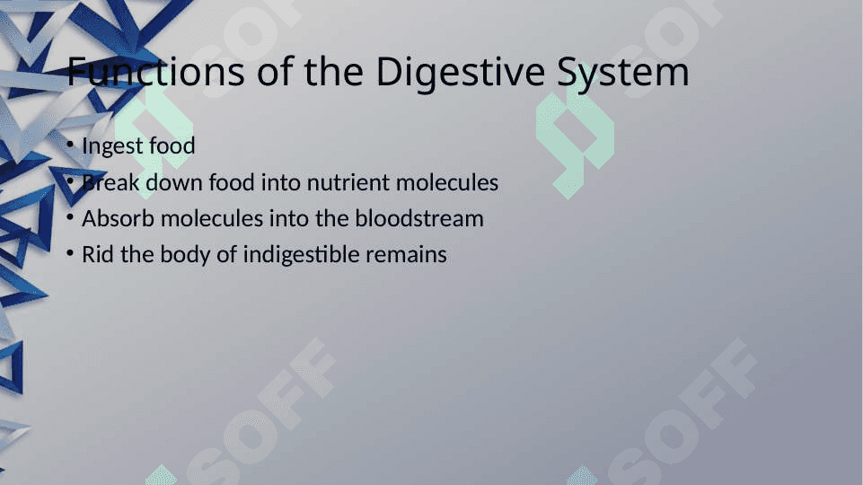 The digestive system and process of digestion and absorption 4