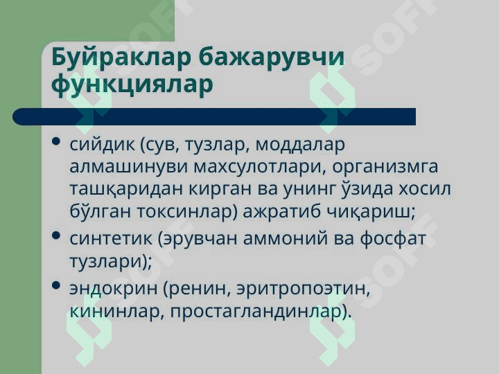 Buyrak | Буйрак 2