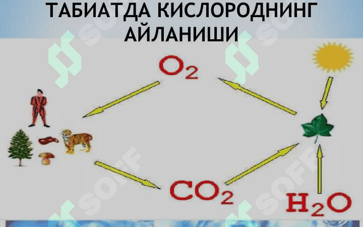 ЎРМОН ВА ҲАВОНИНГ ТАРКИБИ 7