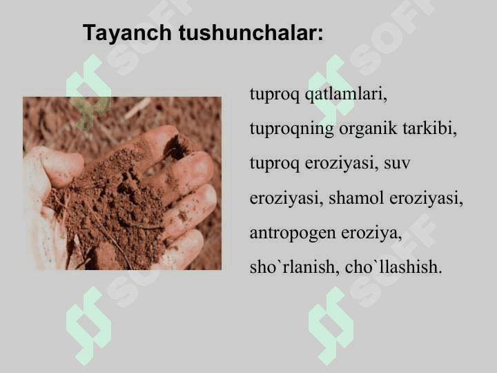 Tuproq resurslarini muhofaza qilish 4
