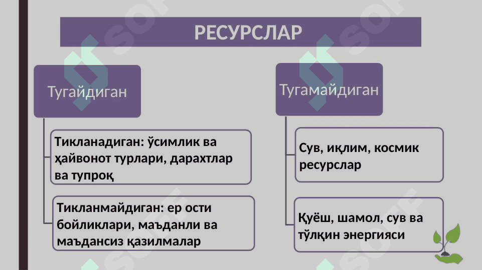 Табиий ресурслар, уларнинг синфланиши,турлари 4