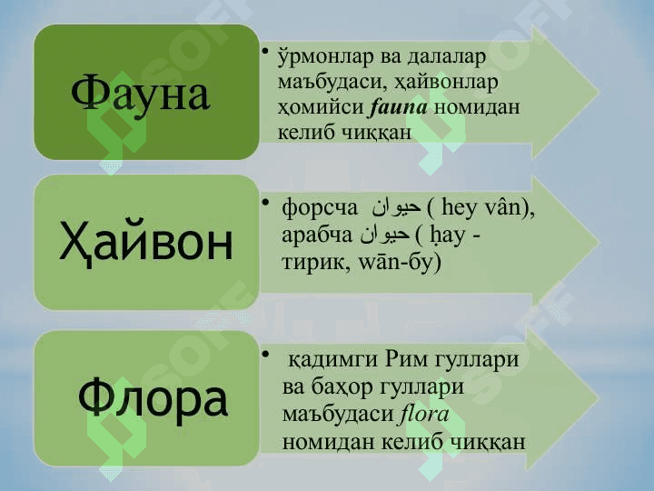 Ўзбекистон фаунасининг хилма-хиллик ҳолати ва қисқариш сабаблари 2