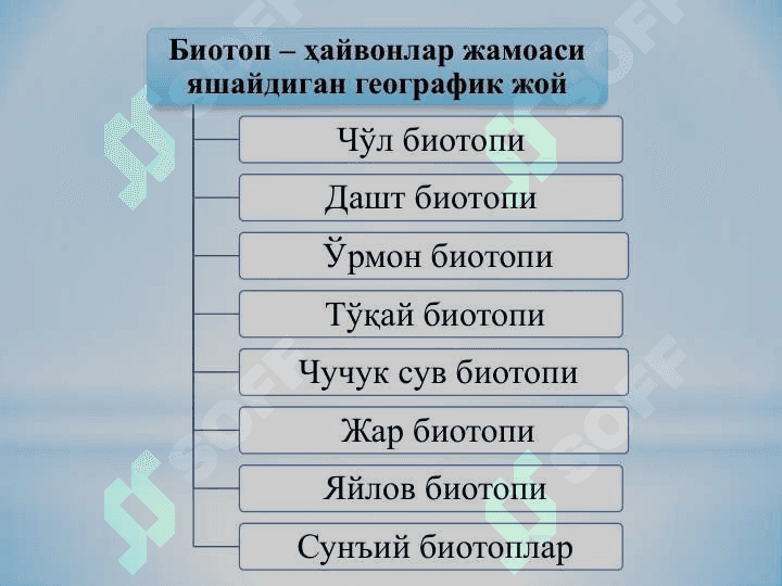 Ўзбекистон фаунасининг хилма-хиллик ҳолати ва қисқариш сабаблари 4