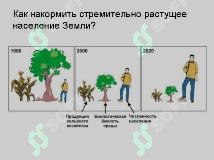 Ўзбекистоннинг сув ресурслари ва сув манбалари. Суғориш тизимлари ҳақида тушунча 5