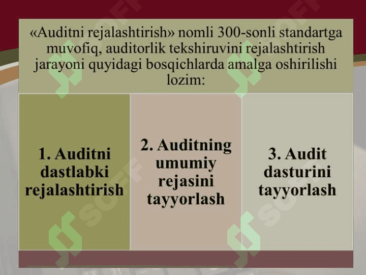 Auditorlik tekshiruvini rejalashtirish 8