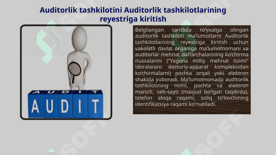 Auditorlar reyestri 4