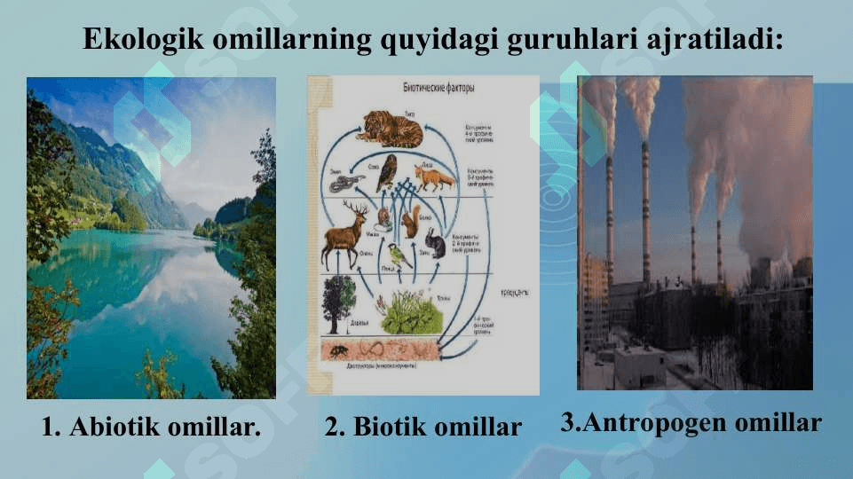 Atrof-muxit ekologik omillari va ularning o‘zaro ta’siri xususiyatlari 6