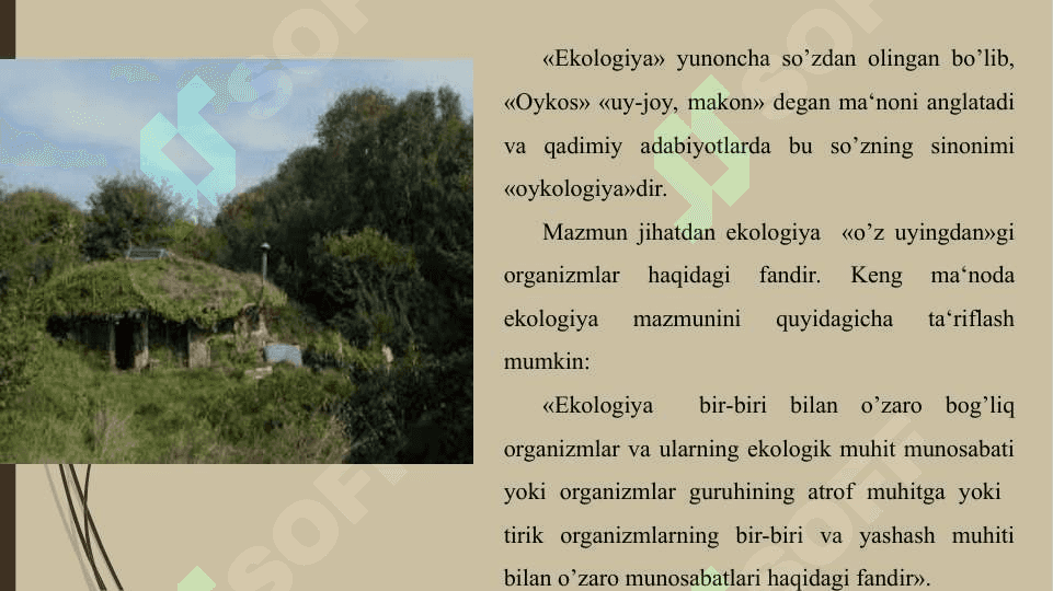 EKOLOGIYA FAN SIFATIDA 3