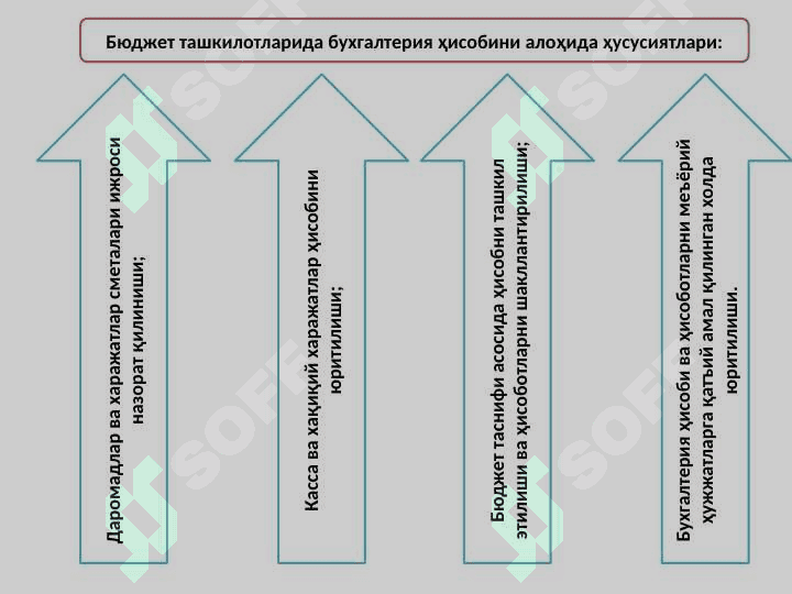 Byudjet tashkilotlarida Byudjet hisobining tashkiliy – uslubiy jihatlari 8