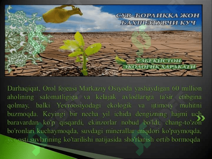 Ekologiya va inson 6