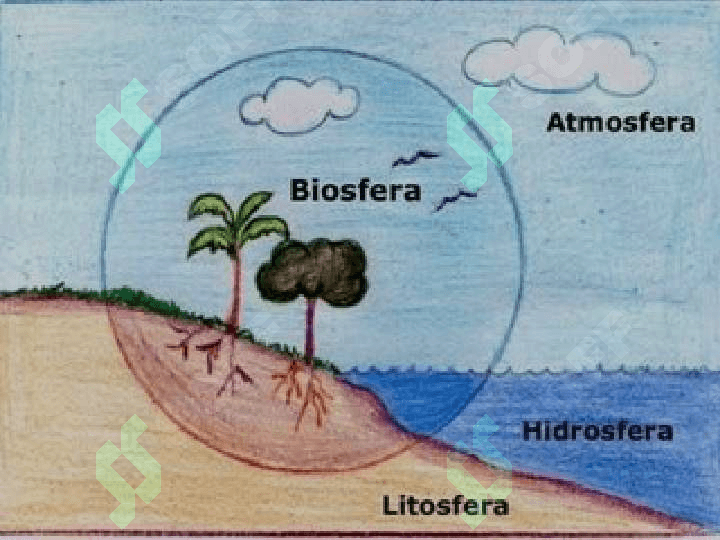 Biosfera haqida umumiy tushuncha 4