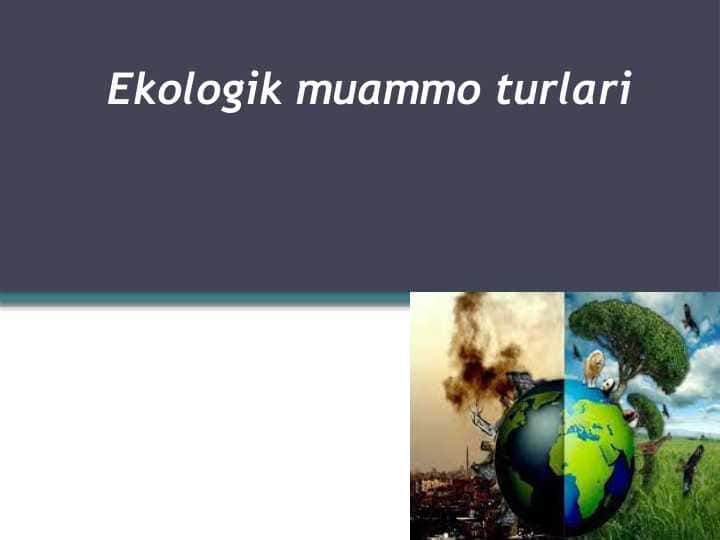 Ekologik muammo turlari