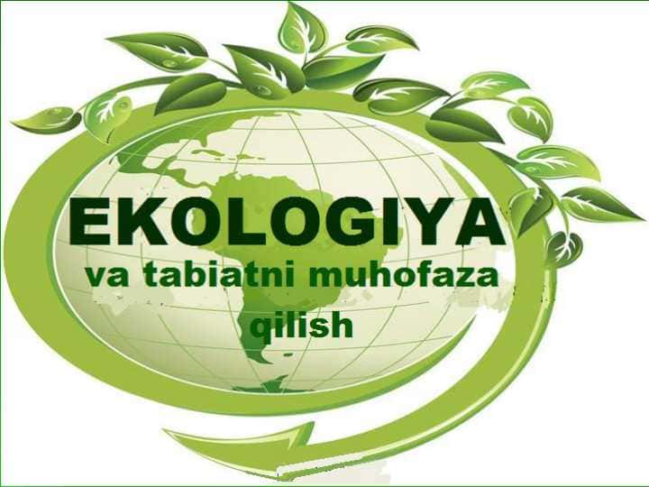 Ekologiya va tabiat
