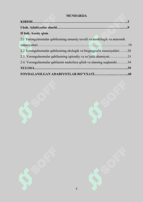 Yorongulnomalar qabilasi 2