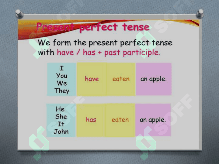 Present Perfect Tense 5