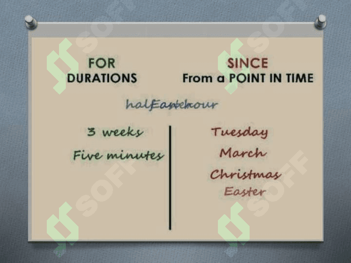 Present Perfect Tense 7