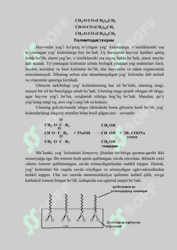 Lipidlar va lipoidlar 4