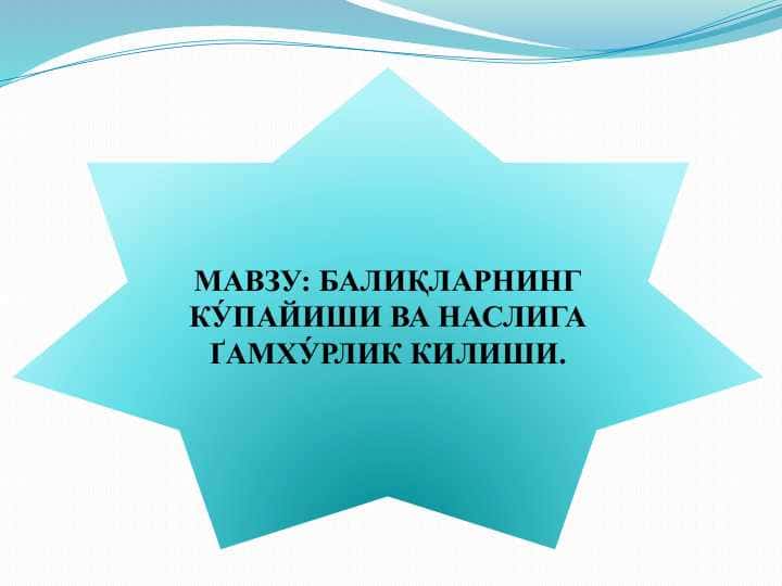 БАЛИҚЛАРНИНГ КУ́ПАЙИШИ ВА НАСЛИГА ҐАМХУ́РЛИК КИЛИШИ.