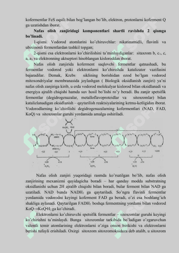Bioenergetika 2